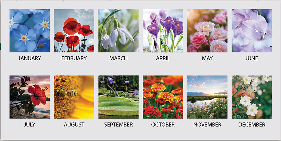 House of Doolittle (HOD1596) Earthscapes Flowers Desk Pad 18 1/2 x 13