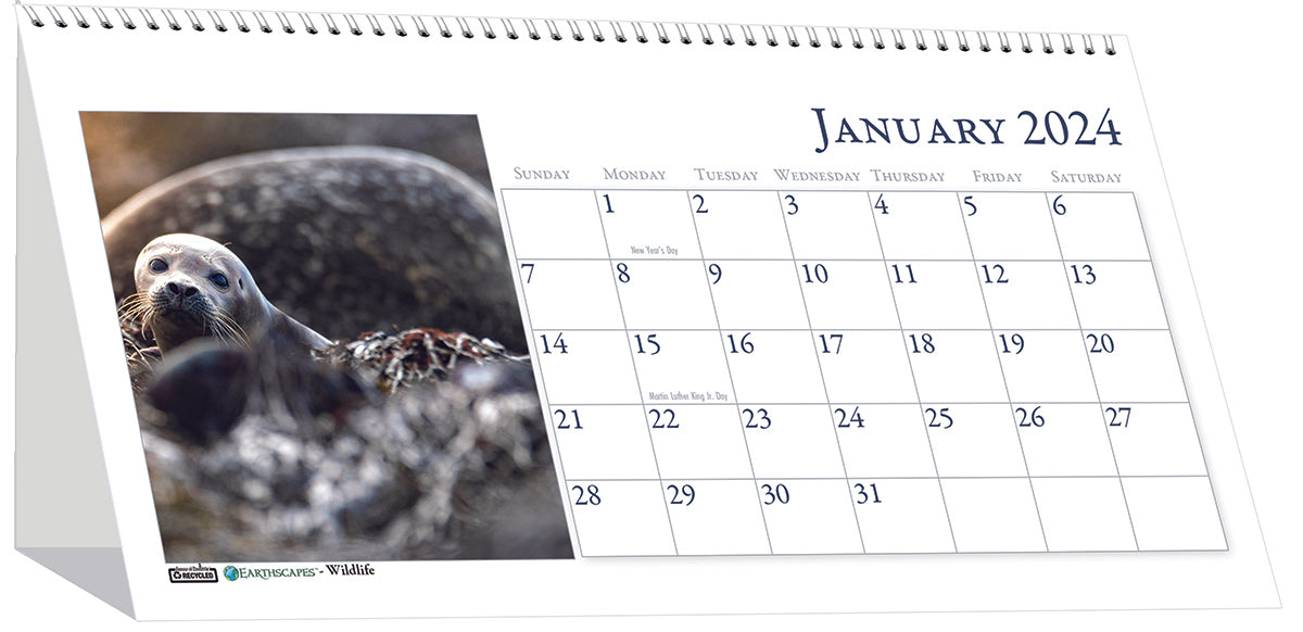 House of Doolittle (HOD3689) Wildlife Desk Top Tent Calendar 8 1/2 x 4 1/2