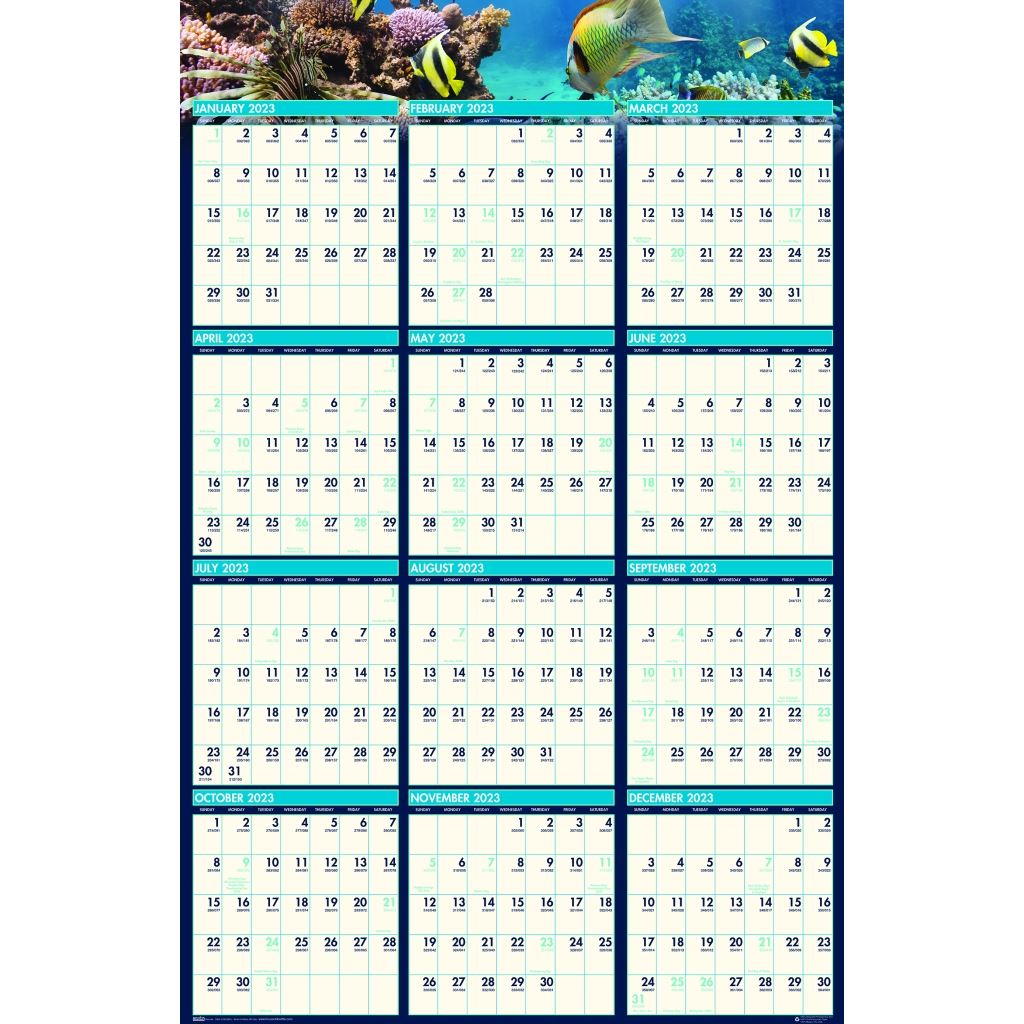 House of Doolittle (HOD3969) Earthscapes Sea Life Laminated Planner 24 x 37