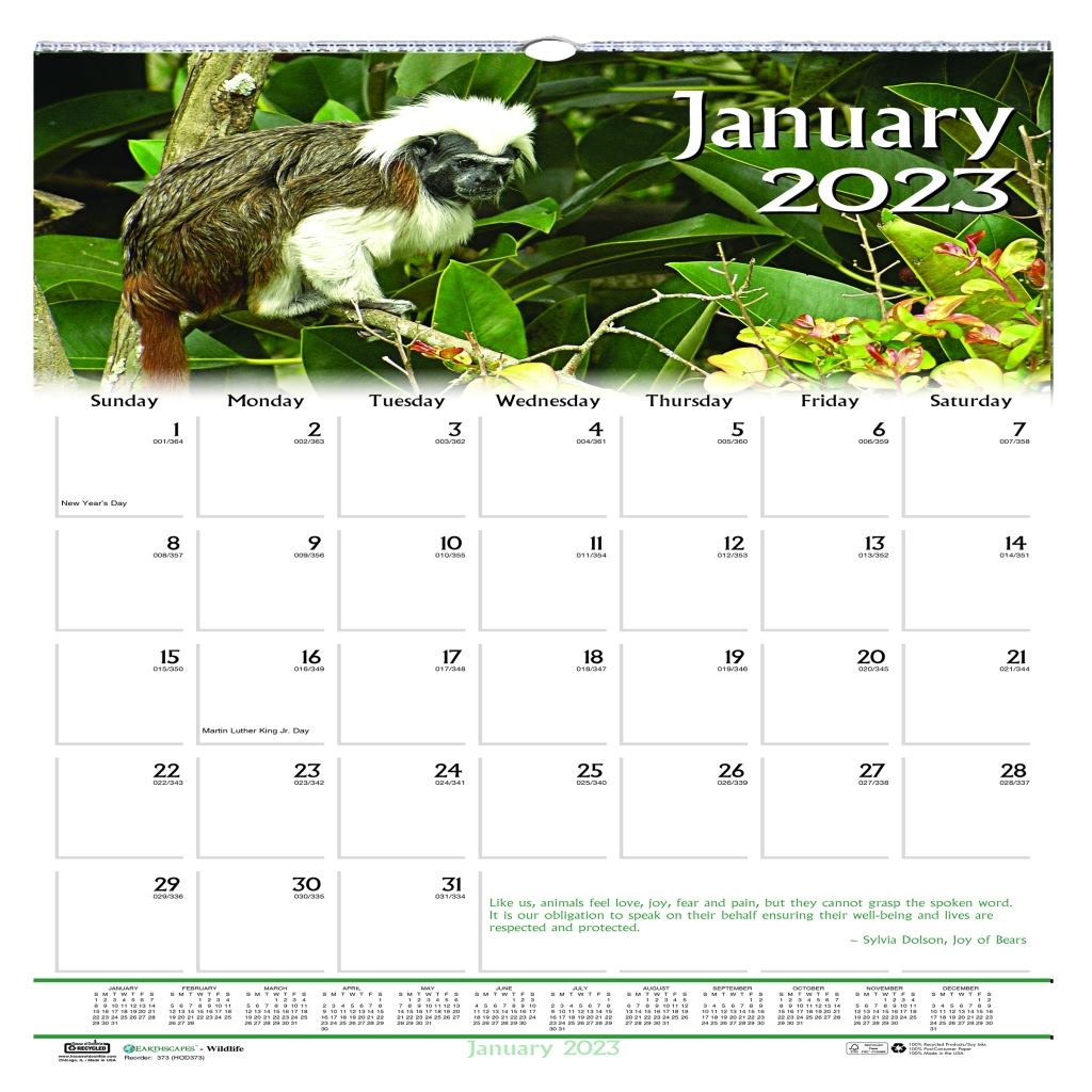 House of Doolittle (HOD3731) Earthscapes Wildlife Wall Calendar 12 x 12