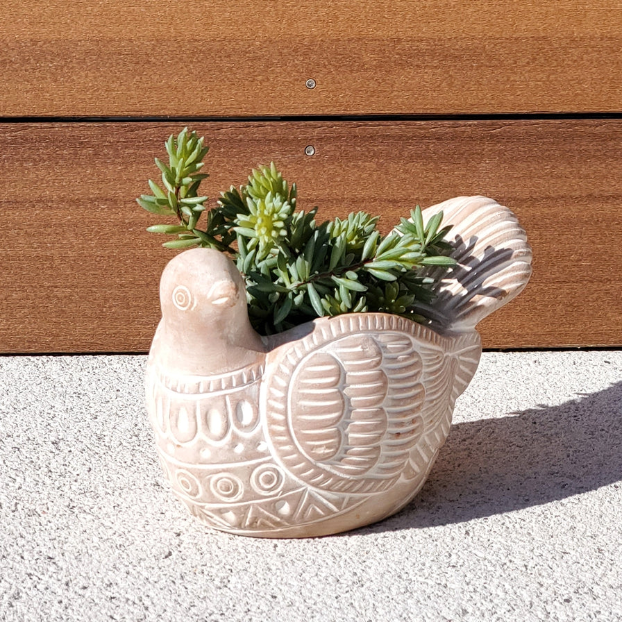 Handmade Planter Pot L Terracotta Pot - Turtle Dove