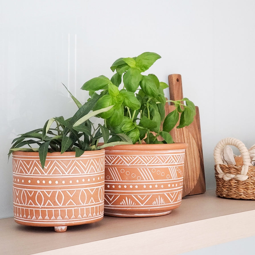5.5" Handmade Pot Planter L Hand Etched Terracotta Pot-Small