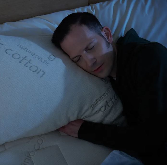 Organic Solid Latex Pillow
