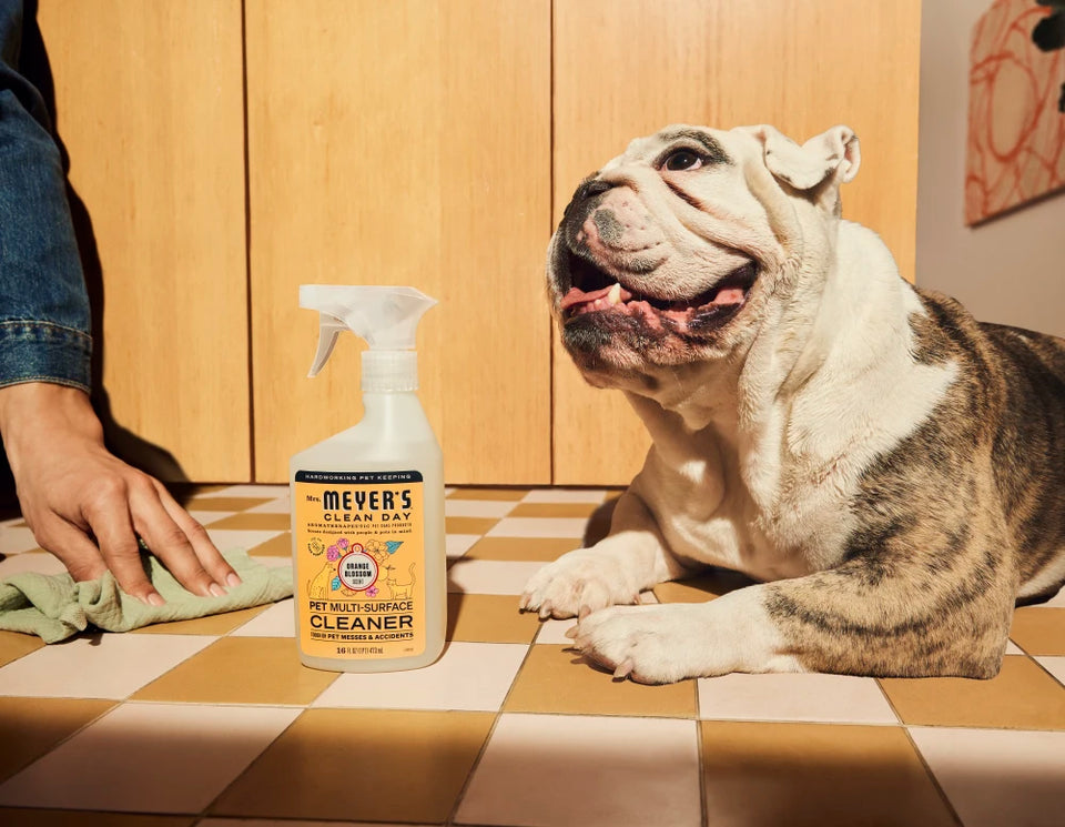 Mrs. Meyer's Clean Day Orange Blossom Pet Multi-Surface Cleaner 16 fl. oz.