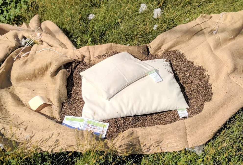 Buckwheat Pillows with Zipper