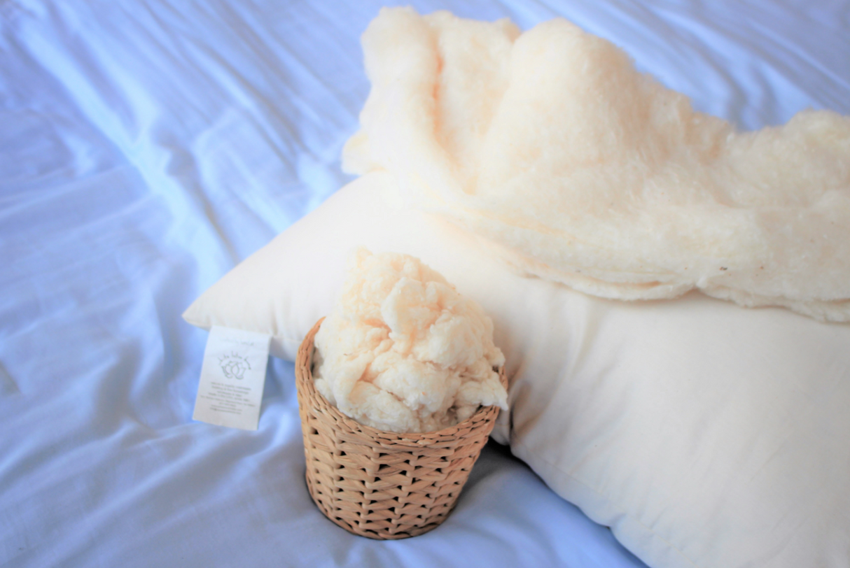 Organic Cotton Pillow w/ Zipper