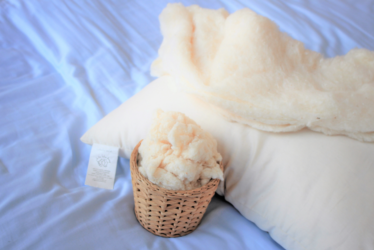 Organic Cotton Pillow