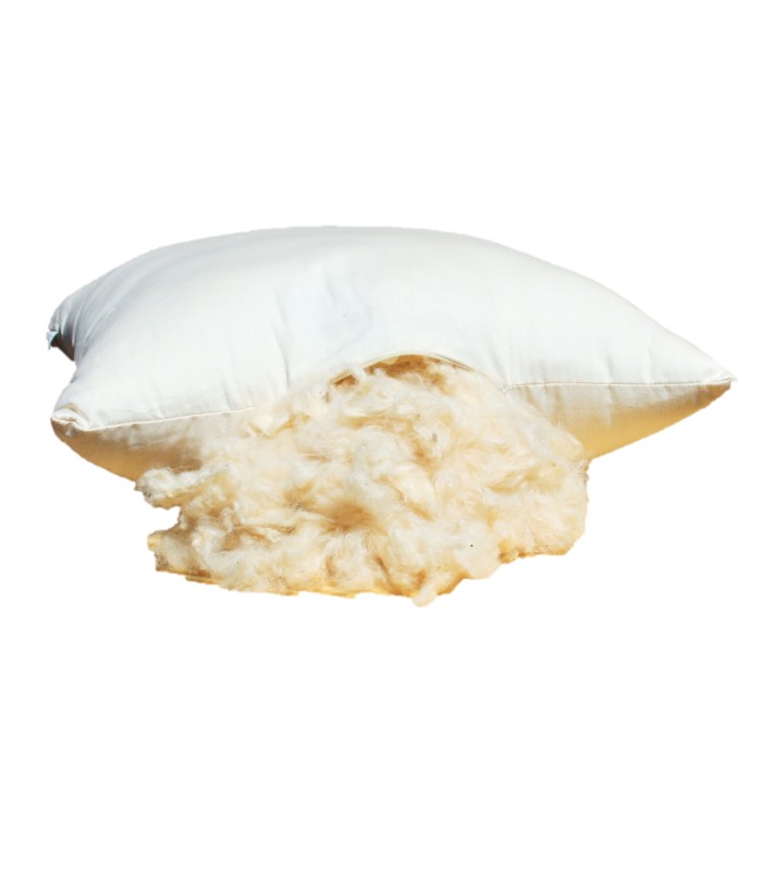 Kapok Pillow