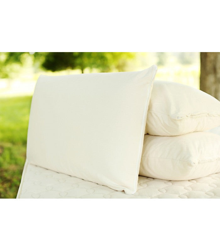 Organic Latex Soap-Shaped Pillow