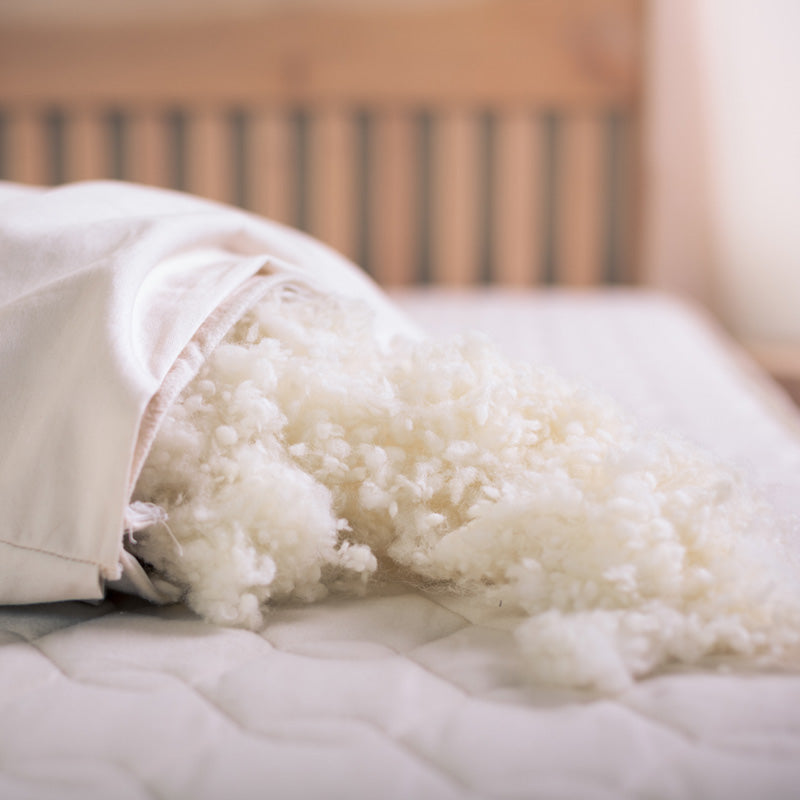 Organic Kapok Pillows