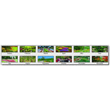 House of Doolittle (HOD302) Earthscapes Gardens of the World Wall Calendar 12 x 16-1/2
