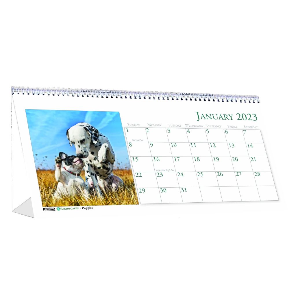 House of Doolittle (HOD3659) Puppies Desk Top Tent Calendar, 8-1/2 x 4-1/4